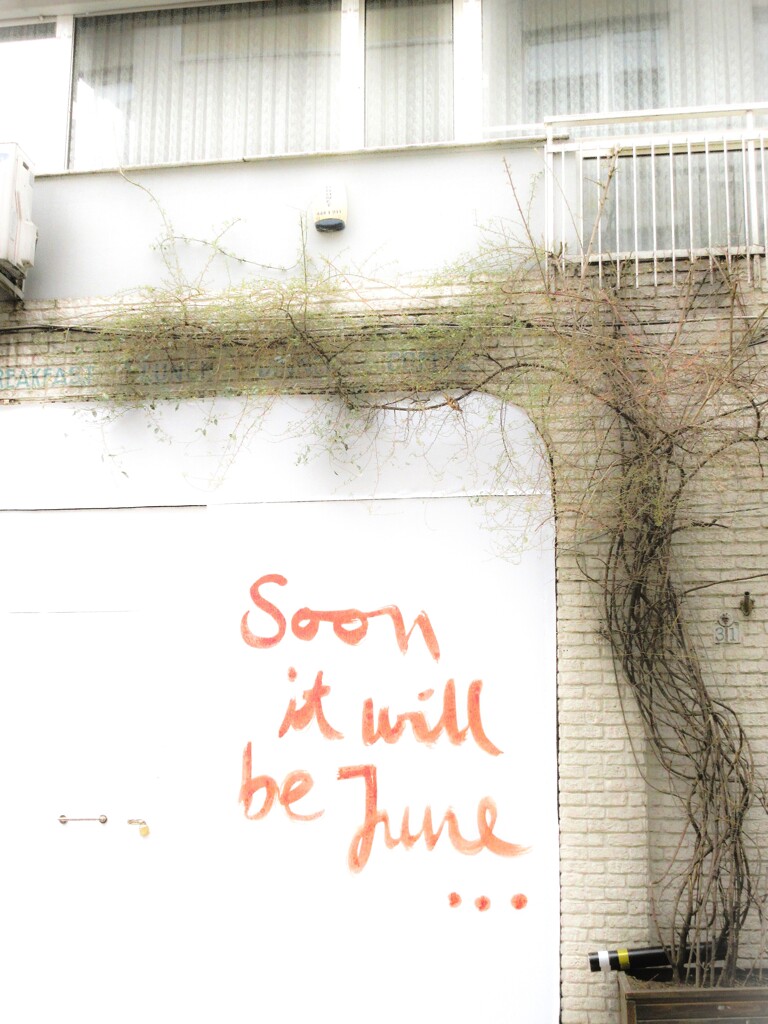 June…？