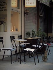 夕暮れニャン…今夜は…