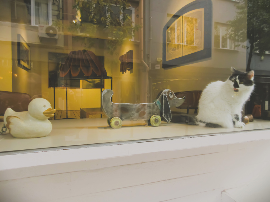 付いてこニャイで…たら…！