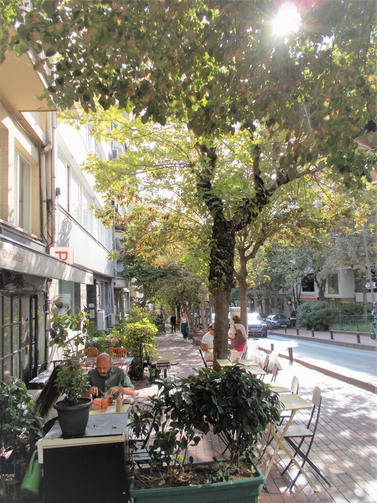 夏模様～～　でもこんなに柔らかい朝陽～～