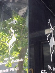 プラスティックサージェリーの看板…