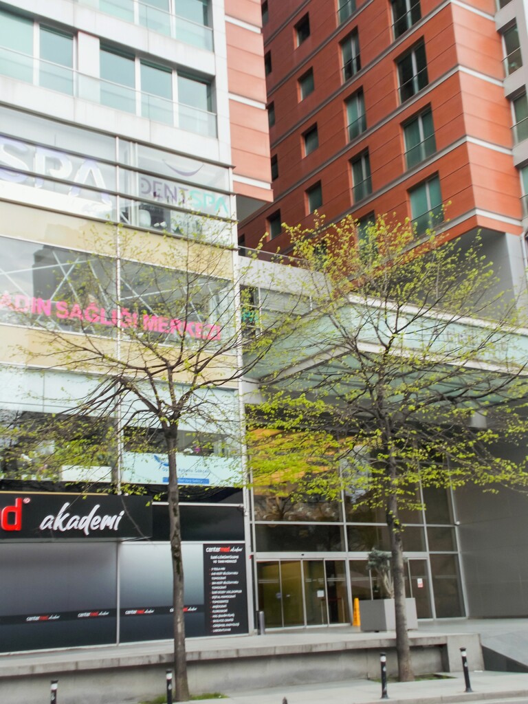 若葉マークの街路樹…２人～♪