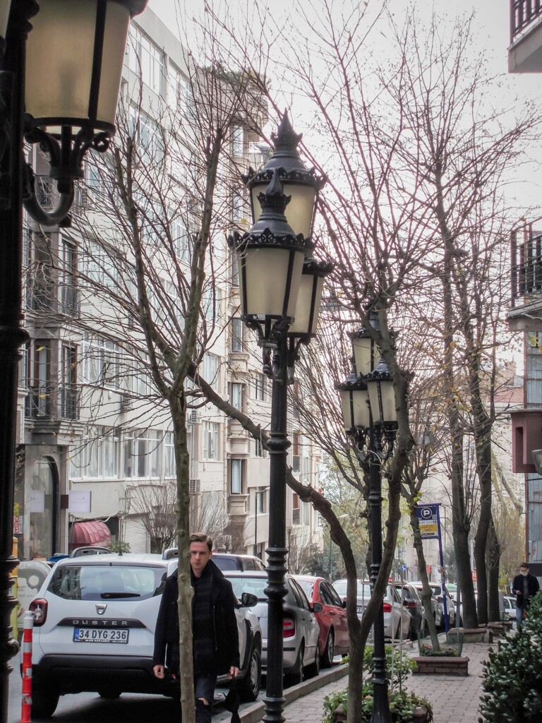 寒樹＊＊＊尖尖＊＊＊