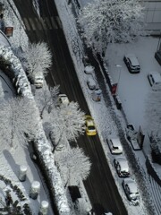 お正月は雪でした*。。～*