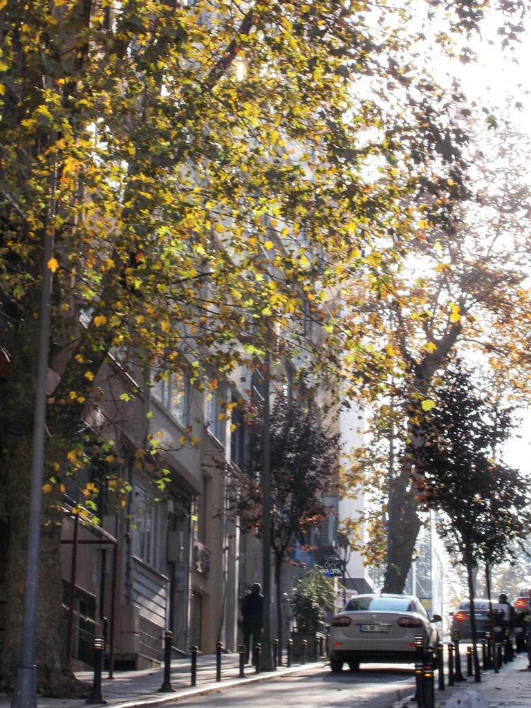 秋のある朝　09：00～