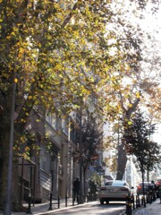 秋のある朝　09：00～