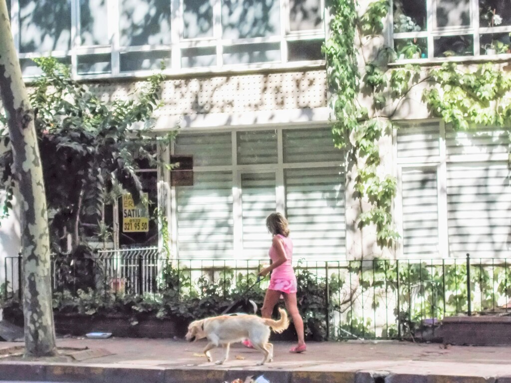 夏の朝の思い出…ひとひら～～