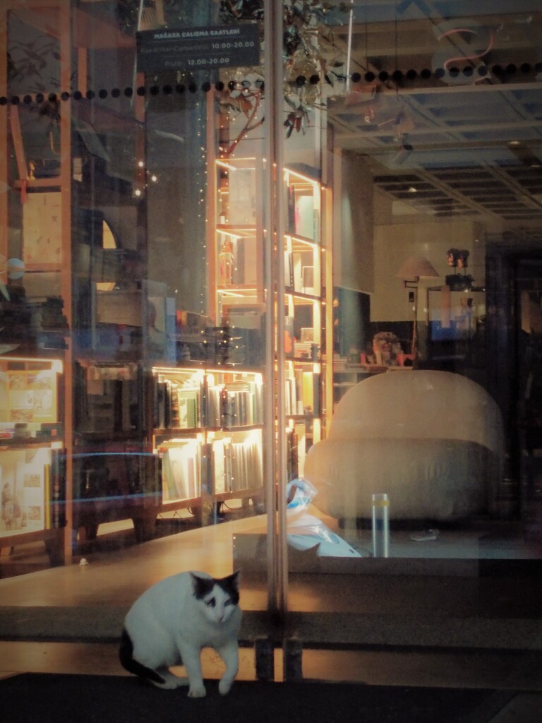 スリラー…✶…