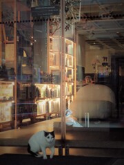 スリラー…✶…