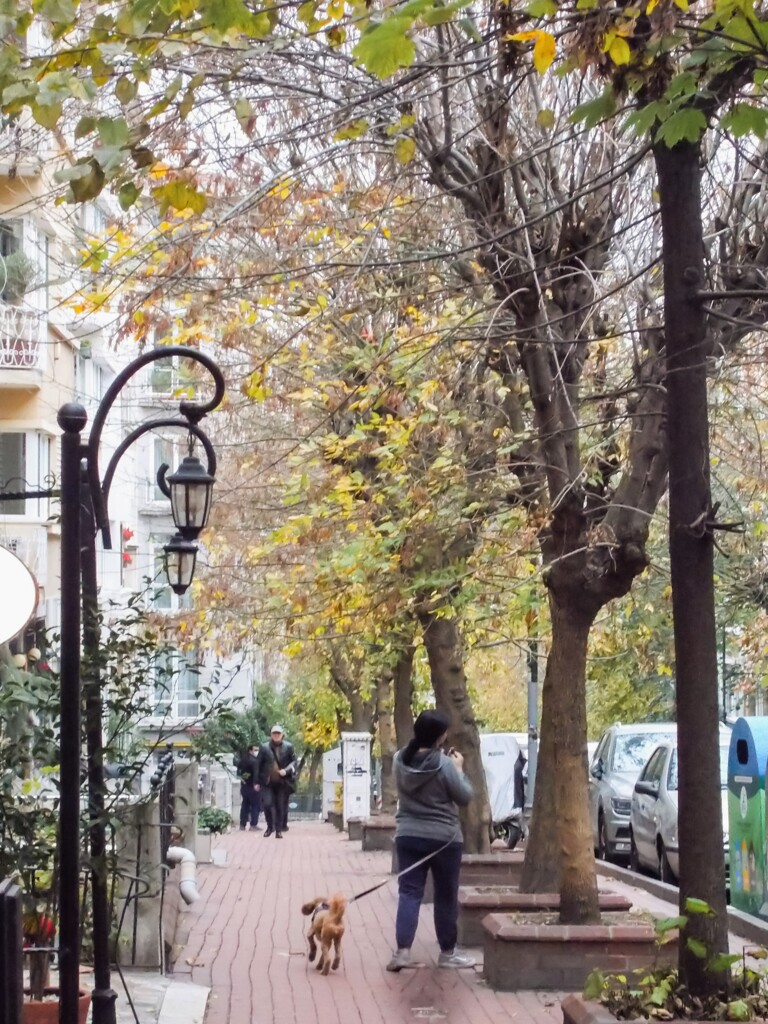 撮ってる子を撮ってみる～♪