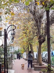 撮ってる子を撮ってみる～♪