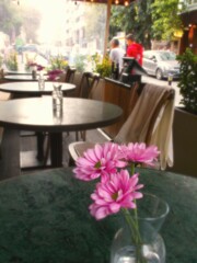 昼下がりの断片…