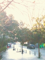 淡き光り立つ　薫る春～～♪