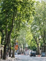 ボスポラス上流沿岸のお屋敷街…