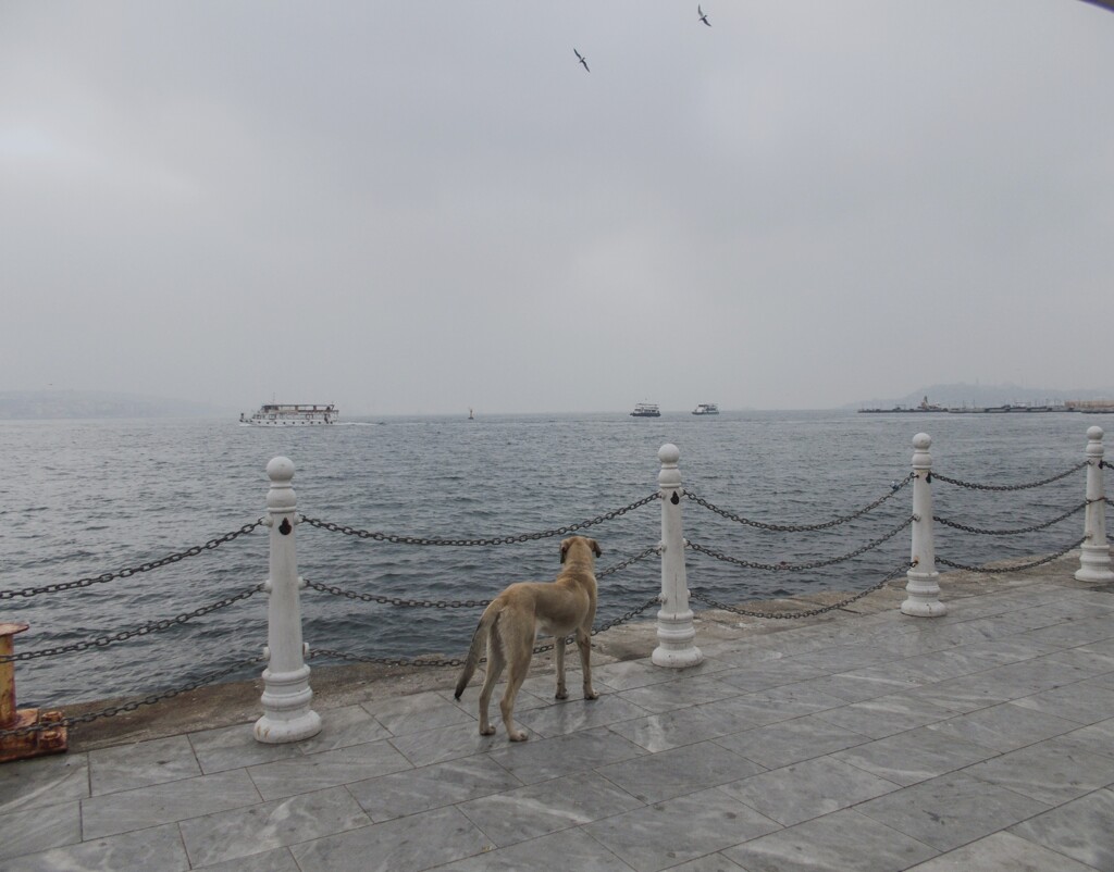 存在の耐えられない重さ…or 軽さ…