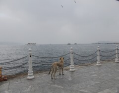 存在の耐えられない重さ…or 軽さ…