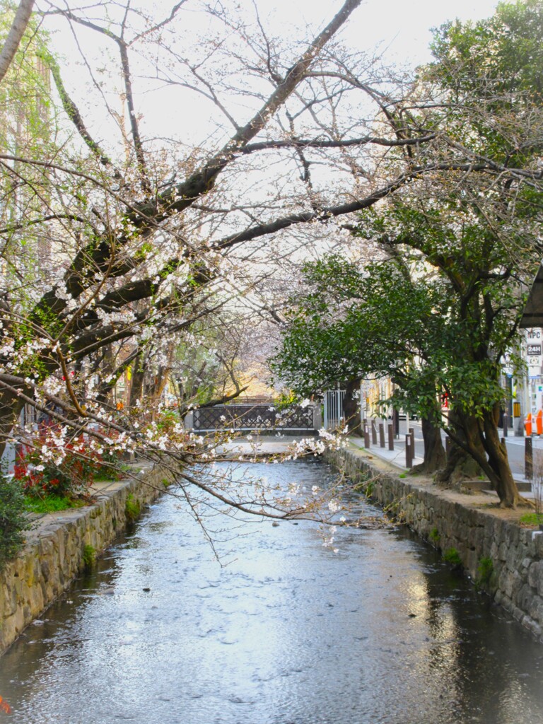 蒼い流れ～～