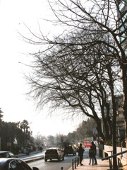 ～遠き道の途中での事～～