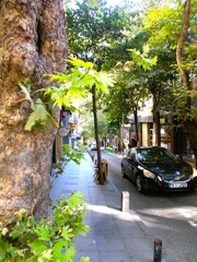 雷雨の翌朝～～☆