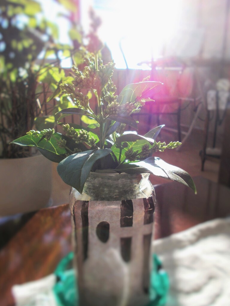 朝　部屋でゆっくりできるのは自粛のおかげ～