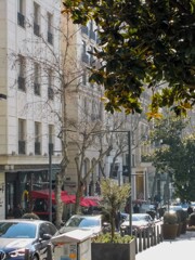 浅春の朝陽～✨