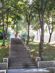 色んな生き方　死に方があるけれど…行（逝）く所は皆同じ…