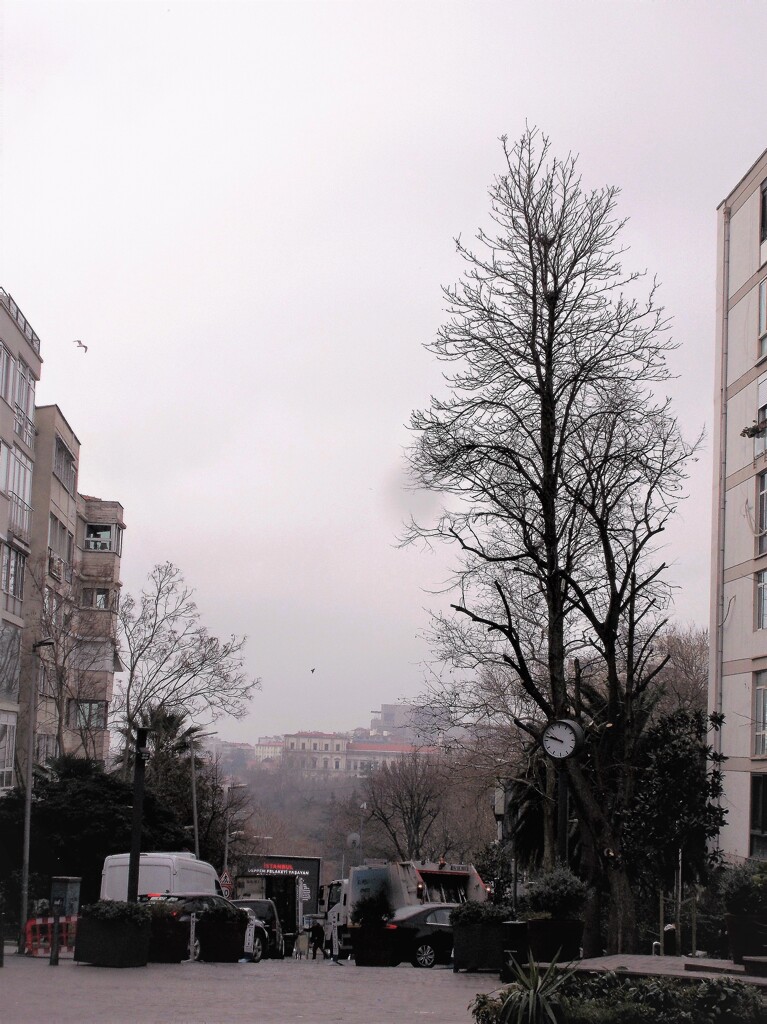 遠き春～　淡き光立つ俄雨～.。o○～♪
