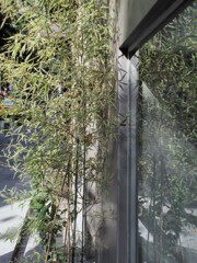 どこでもドア～～