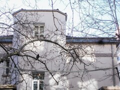 冬の旅～　カラス～♪～