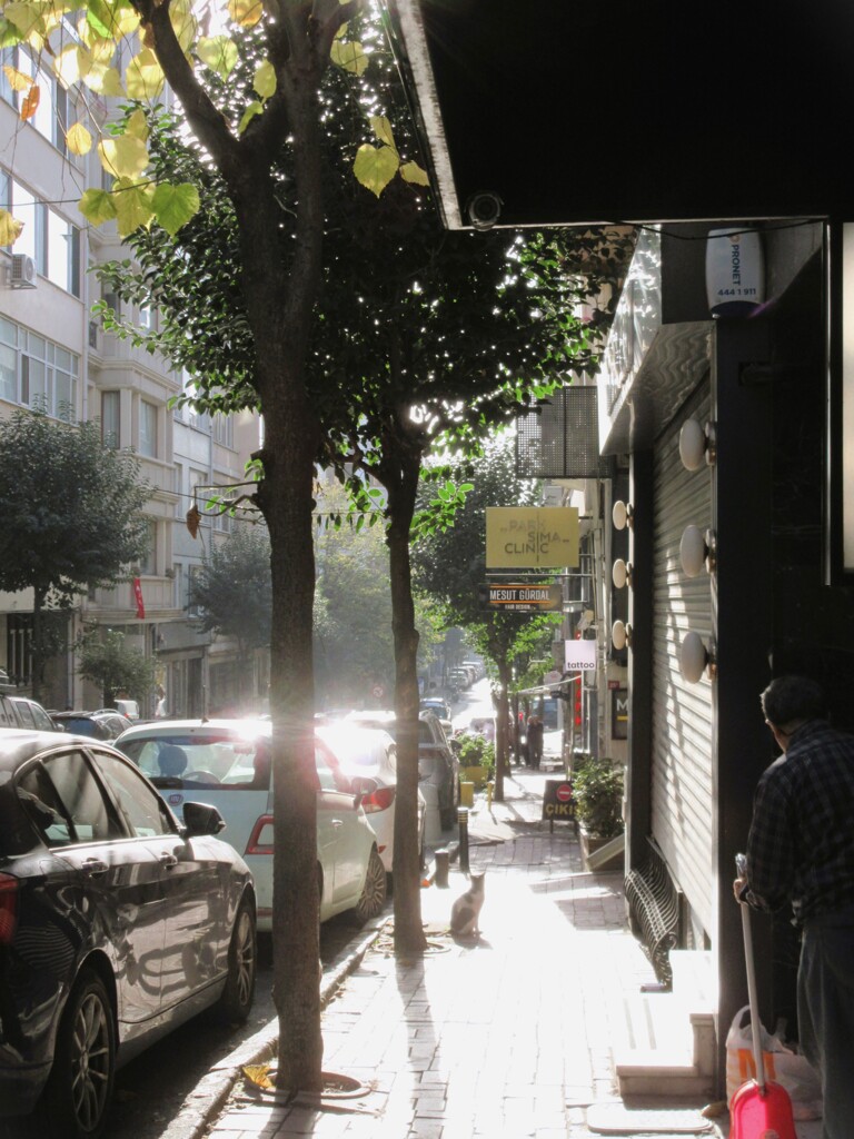 もう　嬉しくて声をかけてしまう～～♪