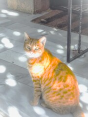 あったかい シャボン玉~.。o○ あったかい シャボン玉~.。o○