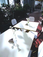 ガラスの透明さを冷たく感じる朝夕…