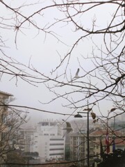 霧の中.～。o○