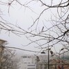 霧の中.～。o○