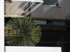 心の中の花火＊* 時々上がります…＊*