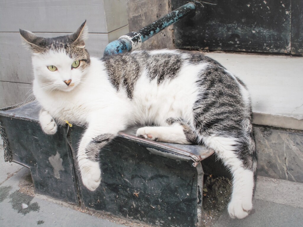 イカ耳になっちゃった～～