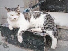 イカ耳になっちゃった～～