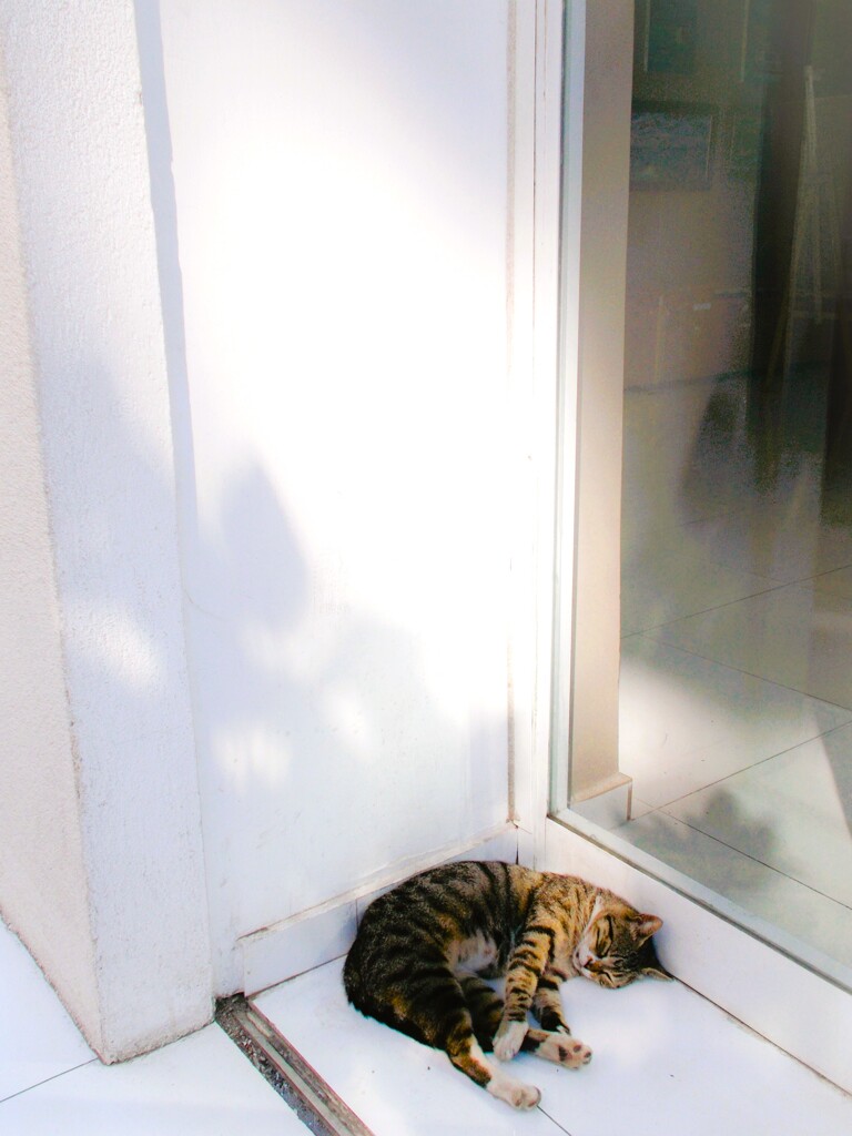 sleep in～sleep in～～