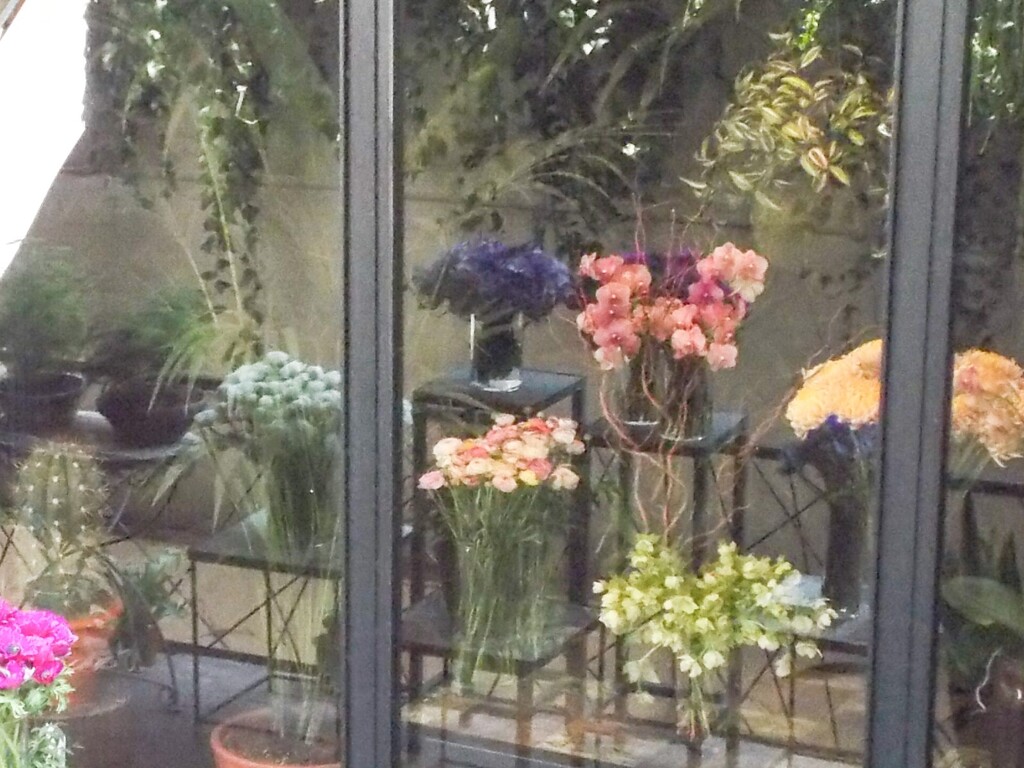 いつか見た夢～～☆