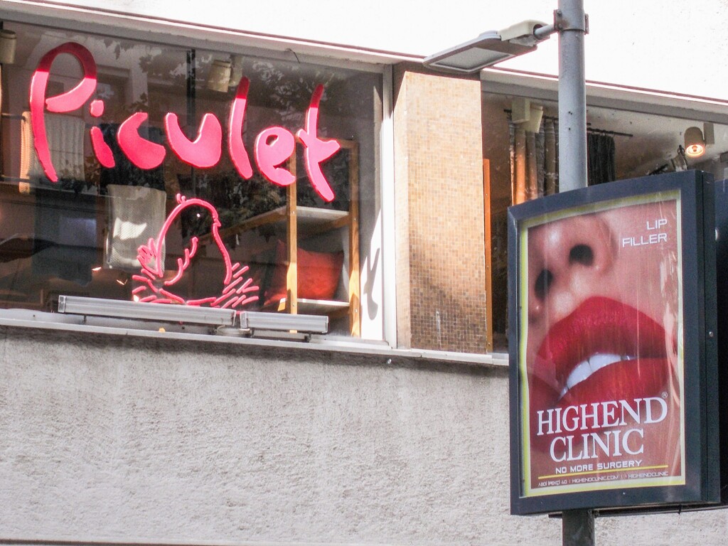 ”強くなければ生きていけない…優しくなければ生きていく資格がない…”