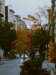 Santa Claus is coming to town～♪って歌ってみる～～