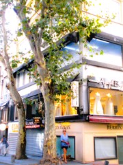 爽やかな朝～～☆