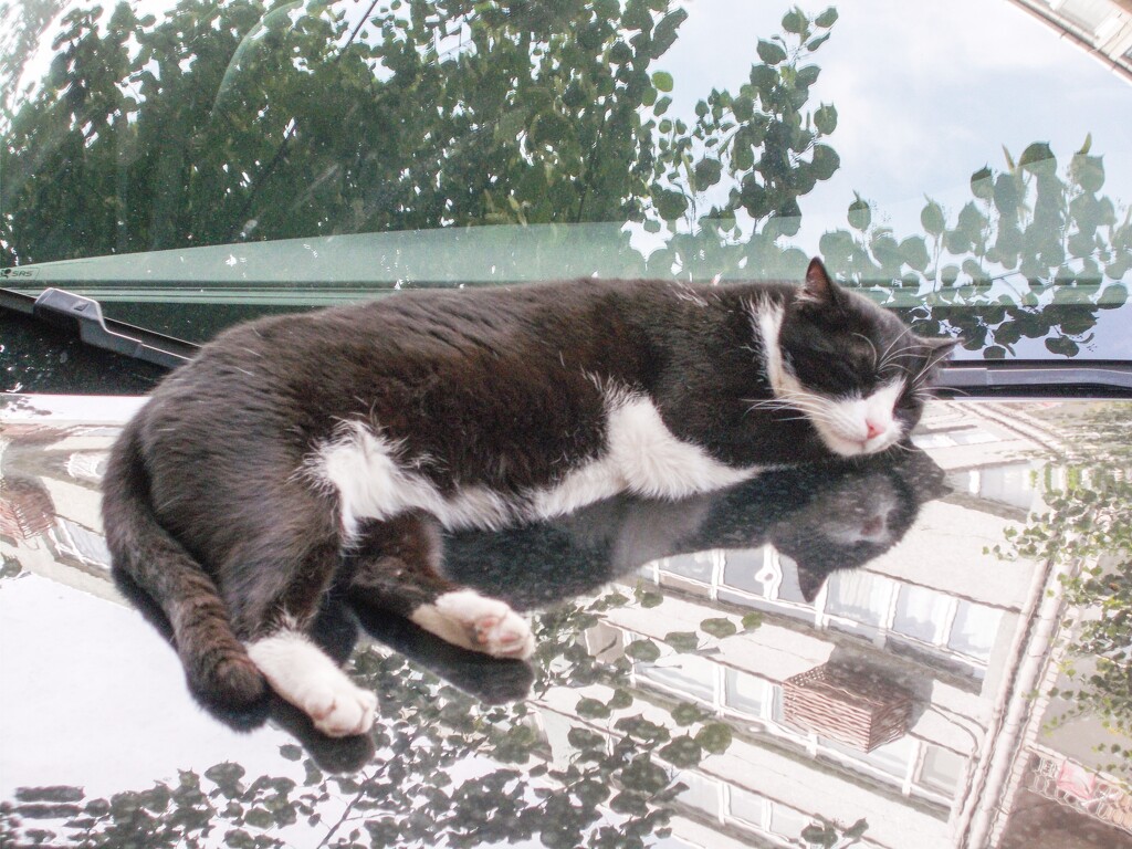 ～眠れ　好い子よ～♪～　