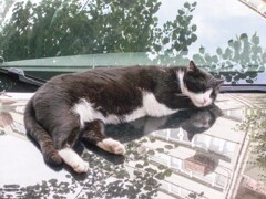 ～眠れ　好い子よ～♪～　