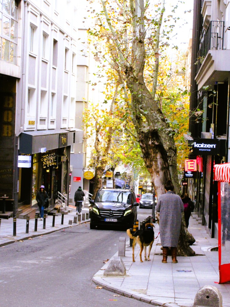 この街に嫁いで…生活して…老いて…