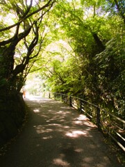 大原…　俗世界を嫌った多くの人々が隠棲したという…