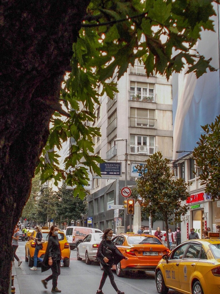 冷たい風が吹く夏が終わった朝でした…
