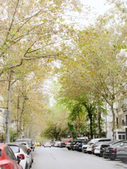 朽葉色の道が続く…