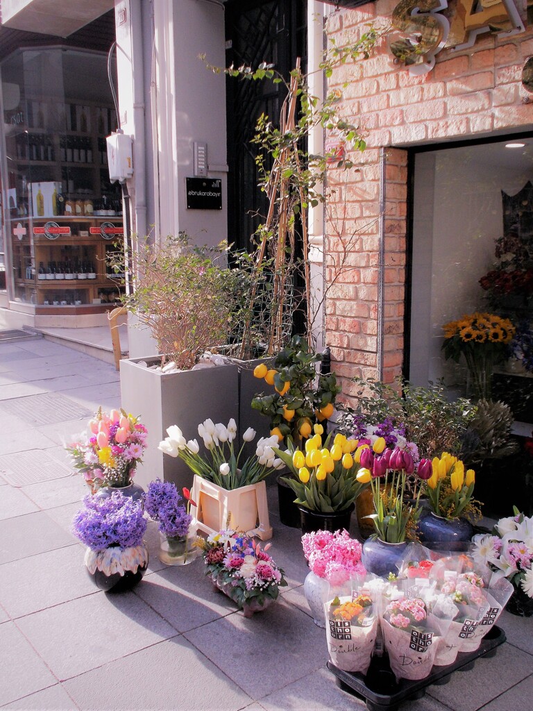 私のちっちゃな雛祭り～～♪♡❀