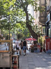 男と犬っていい感じ～♡